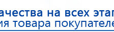 ЧЭНС-01-Скэнар-М купить в Верхней Пышме, Аппараты Скэнар купить в Верхней Пышме, Дэнас официальный сайт denasdoctor.ru